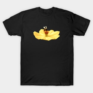 save the bees T-Shirt